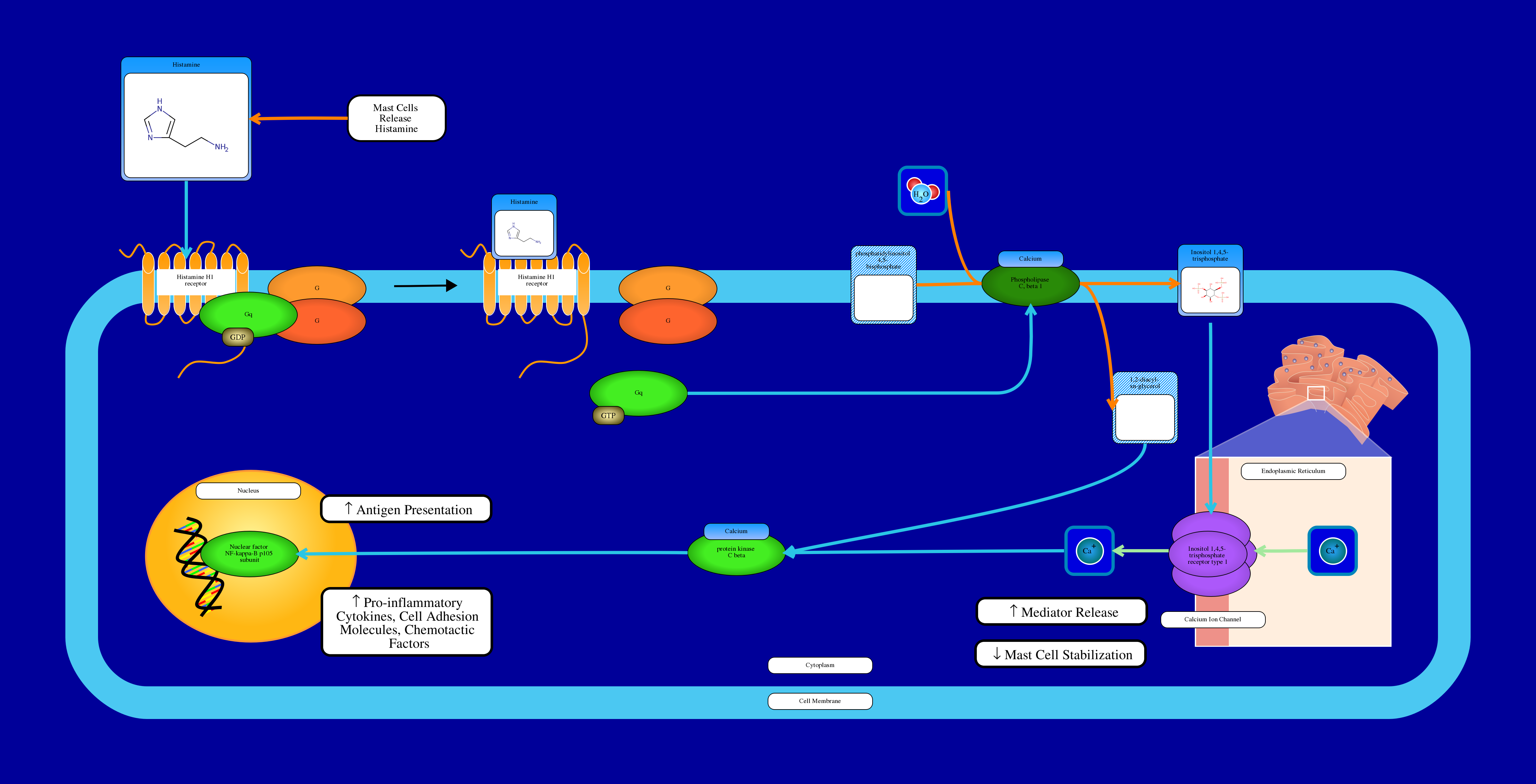 calcium and ip3 in signaling pathways